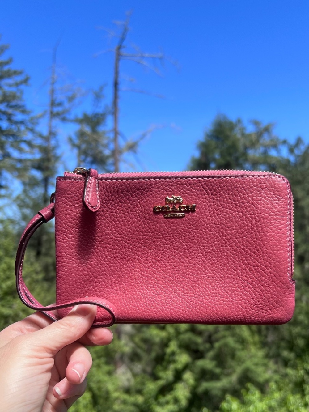 COACH Pebbled Leather Wristlet Double Zip Cardholder Wallet Pink w Gold Hardware
